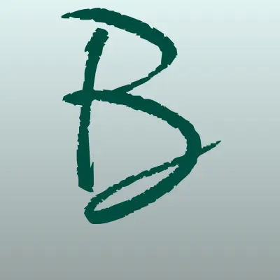 BRAVOplus, магазин мебели, лого-визитка