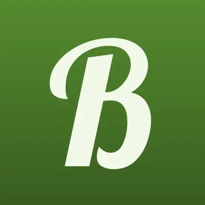 Borgata, шоурум, лого-визитка