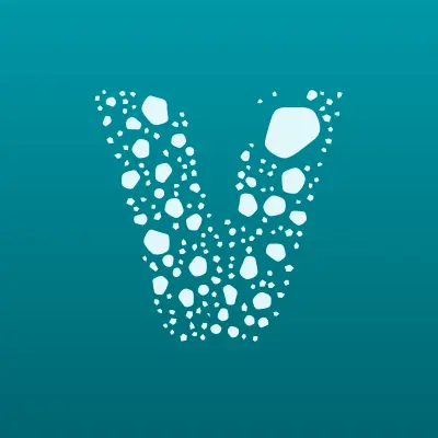 Vorsis, торговая компания, лого-визитка